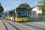 Mercedes-Benz Citaro 2.