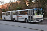 Dieser SETRA-Gelenkbus wird neben Schülertransporten auch für Sonderfahrten eingesetzt.