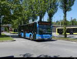 S T A DTBUS Bregenz - Mercedes Citaro BD 14146 unterwegs in Bregenz am 08.07.2022