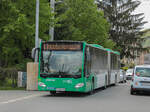 Graz. Wagen 165 der Graz Linien ist hier am 03.05.2021 als E7 in der Daungasse zu sehen.