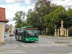 Graz. Am 18.09.2022 war der Wagen 102 der Graz Linien auf der Linie 64E unterwegs. Den Bus konnte ich vor dem St. Peter Friedhof in Fahrtrichtung Liebenau fotografieren.