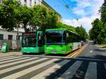 Graz. Der Postbus BD 16162 sowie Wagen 49 der Graz Linien sind hier am 02.06.2023 in der Haltestelle Opernring zu sehen.