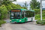 07.05.2024: Graz Linien Wagen 101 als E5 Richtung Graz Zentralfriedhof