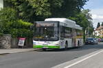 MAN Lion's City CNG von Albus Salzburg (Bus L1402, S-140TX) als Linie 22 an der Haltestelle Salzburg, Quartier Riedenburg.