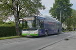 MAN Lion's City CNG von Albus Salzburg (Bus L1580, S-405TZ) als Linie 22 bei der Haltestelle Salzburg, Mörkweg. Aufgenommen 1.6.2022.