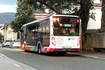 MAN Lion's City E von Albus (Bus L 9210, S-EBUS10) als Linie 11 an der Hst.