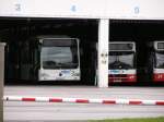 Versdchiedene Busse in dem Slazburger Kfz Zulassungsgebiet.