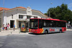 MAN Bus 528, BusCas, Cascais, Portugal, Kenzeichen 66-EC-12, am 13.