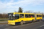 Serbien / Stadtbus Belgrad / City Bus Beograd: Ikarbus IK-201 - Wagen 442 der GSP Belgrad, aufgenommen im Januar 2016 in der Nähe der Haltestelle  Bulevar Nikole Tesle  in Belgrad.