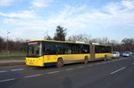 Serbien / Stadtbus Belgrad / City Bus Beograd: Ikarbus IK-218N - Wagen 443 der GSP Belgrad, aufgenommen im Januar 2016 in der Nhe der Haltestelle  Bulevar Nikole Tesle  in Belgrad.