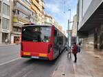 Heckansicht vom Wagen 841 an der Haltestelle Estación-Maisonnave in Alicante am 31.10.2023. Es handelt sich um einen MAN Lion's City 19C.