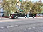 MAN Lion's City 19C, Wagen 842, Baujahr 2023, Firma Masatusa, verlässt die Haltestelle Antiguo Asilo in Alicante am 31.10.2023.