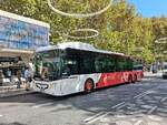 Avanza Benidorm 9011, Castrosua Magnus H LE 15 Hybrid, wartet als Linie 50 an der Haltestelle Benidorm Centro am 29.09.2026.