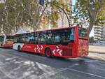 Heckansicht des Castrosua Magnus H LE 13 Hybrid mit der Wagennummer 9162 an der Haltestelle Avenida del Mediterraneo in Benidorn am 29.09.2026. 