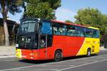 Bus Spanien / Bus Mallorca: MAN / Noge von BUS red / TIB - Transports de les Illes Balears (Wagen 101), aufgenommen im Oktober 2019 im Stadtgebiet von Port d'Alcudia.