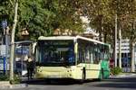 Bus Spanien / Bus Marbella: Castrosua Magnus / MAN der Grupo Avanza / Avanza Bus (Autobuses Portillo), aufgenommen im November 2016 im Stadtgebiet von Marbella.