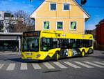 Graz. Wagen 76 der Graz Linien, trägt seit März 2023 eine Vollwerbung für den Campus 02. Genau ein Jahr später, am 23.03.2024, ist der Bus hier als Linie 41E in Andritz zu sehen.