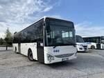 IVECO Crossway in Frymburk (CZ), Mai 2022