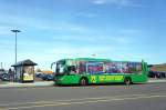 Charlottetown Transit / Trius Charter Bus Service (Stadtbus): Ein Bus des Herstellers Zhong Tong, Modellname Sunny, aufgenommen im September 2014 an der University Avenue in Charlottetown (Prince