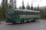 Blue Bird Autobus 160 010 unterwegs im Denali Nationalpark. Die Aufnahme stammt vom 15.08.2019.