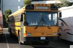 International / AmTran RE School Bus. Aufgenommen am 1. Oktober 2011 im Disneyland Anaheim im Großraum Los Angeles.