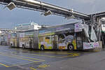 Hess Doppelgelenk Elektrobus 9102 mit der Werbung für 150 ZOO Basel steht am 23.01.2024 im Klybeck Areal.