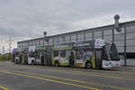 Hess Doppelgelenkbus 9102 mit der Werbung für 150 Jahre ZOO Basel steht am 22.04.2024 auf dem Hof der Garage Rankstrasse.