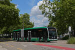 Mercedes eCitato 7131, auf der Linie 36, f�hrt am 01.06.2026 zur Haltestelle Kannenfeldplatz.