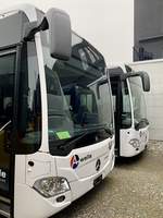 Frontansicht zwei neuer MB C2 hybrid für Limmat Bus, am 11.11.20 bei Evobus in Winterthur.