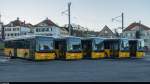 Beim Bahnhof Heiden stehen am 7. Dezember 2015 fünf neue Iveco-Busse für Postauto.