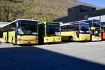 Setra 313 UL, Citaro 1, Volvo 8700 und Neoplan Doppeldecker die am 13.10.18 bei Rattin Bus in Biel zum Verkauf stehen.