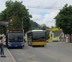 Der Mercedes Citaro G Nr. 150 der VZO und ein Mercedes Citaro von Postauto Uznach warten bei der Bushaltestelle am Bahnhof Wald am 16.6.19