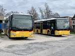 Zwei PostAuto MB C2 LE am 17.3.20 bei Interbus in Yverdon parkiert.
