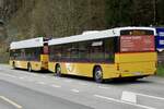 Heckansicht des HESS BusZug '10148' mit Anhänger '10149' der Postauto Regie Nesslau am 23.4.23 in Wilderswil.
