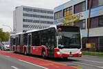 Mercedes Citaro 922 von Rheintalbus, ex.