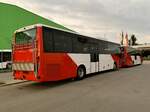 Heckansicht beider neuen Iveco Crossway für TMR SA am 9.10.21 bei Interbus Kerzers.