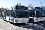 Ein VBG Citaro 1 G und C2 G am 13.10.18 beim Eurobus Zentrum Bassersdorf abgestellt.