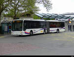 Postauto - Mercedes Citaro AG 18702 bei den Bushaltestellen in Bremgarten am 24.04.2022