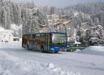 AROSA-BUS: MERCEDES CITARO in winterlicher Umgebung in Davos unterwegs am 31.