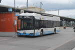 BOTG (BOS) Nr.