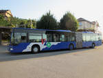 VZO - Mercedes Citaro Nr.