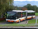 Zimmerberg Bus - MAN Lion`s City  SZ 40170 in Samstagern am 23.10.2022