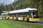 Hess Buszug 'SG 426 001'  Säntis  aus Nesslau am 2.11.19 unterwegs nach Interlaken Ost, bei Zweilütschinen.