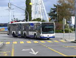 tpg - Mercedes Citaro  Nr.116  GE  960500 unterwegs auf der Linie 8 in der Stadt Genf am 24.03.2024