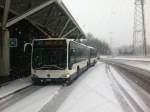 Schnee in Genf: Selten schneit es in Genf, desshalb reichen bereits wenige cm, um den ÖV ins Chaos zu stürzen: TPG Citaro II Nr.