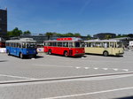 Oldtimertreff im Verkehrshaus in Luzern anlässlich der Trolleybus Day 2016 vom 20-22.05.2016 und 75 Jahrfeier der VBL am 21.05.2016