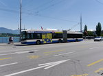 VBL - Trolleybus Nr.214 unterwegs auf der Linie 8 in der Stadt Luzern am 21.05.2016