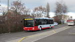 Die neuesten MAN Standartbusse mit überarbeitetem Erscheinungsbild ersetzen die zweitürigen Solaris ab dem Baujahr 2002 auf den Regionallinien.