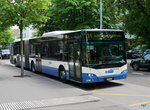VBZ - Neoplan Nr.516  ZH 726516 unterwegs auf der Linie 31 in Altstetten am 28.05.2016