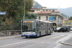 tpl Nr. 443 (Mercedes Citaro C2 O530G) am 21.10.2023 in Lugano, Centro